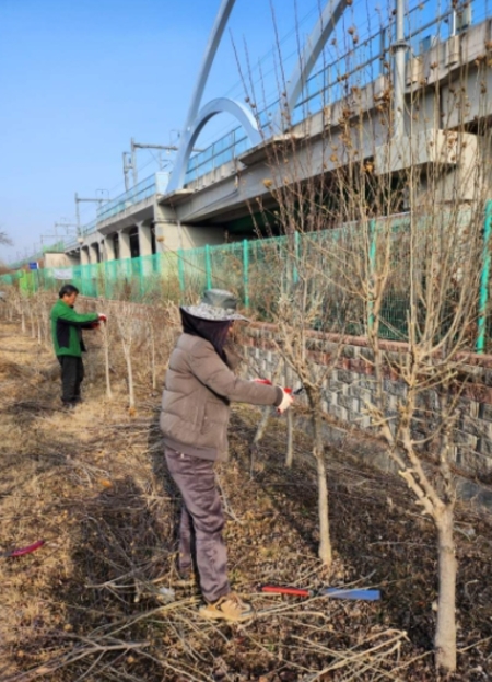 메인사진