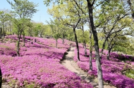 메인사진