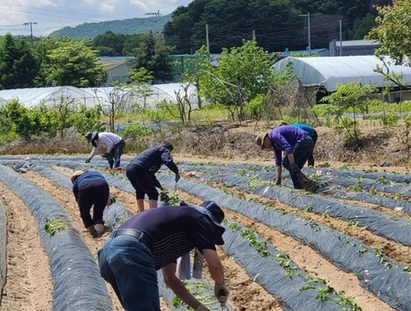 메인사진