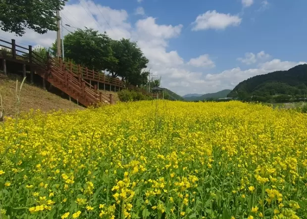 메인사진