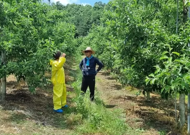 메인사진