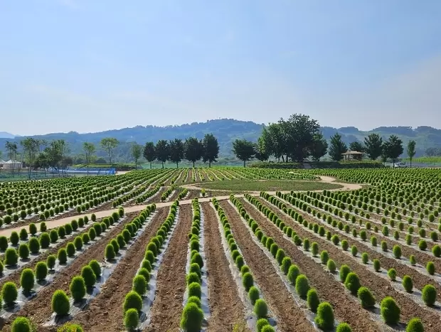 메인사진