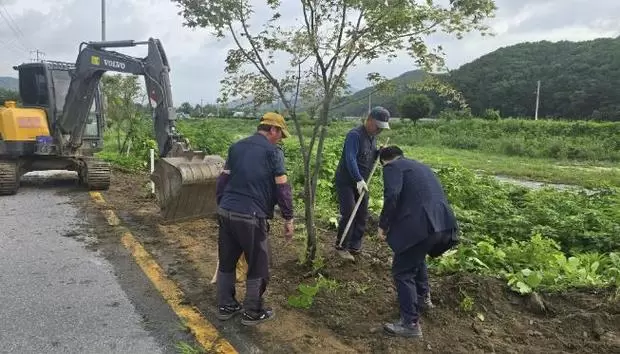 메인사진