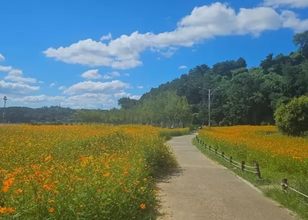 메인사진